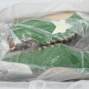 Green GGDB Fashion Casual Dirty Shoes Golden Goose True Star ‘Green’