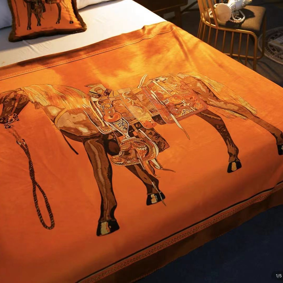 Hermes cushion set Hermes cushion set