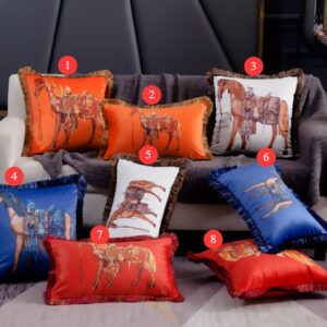 Hermes Cushion