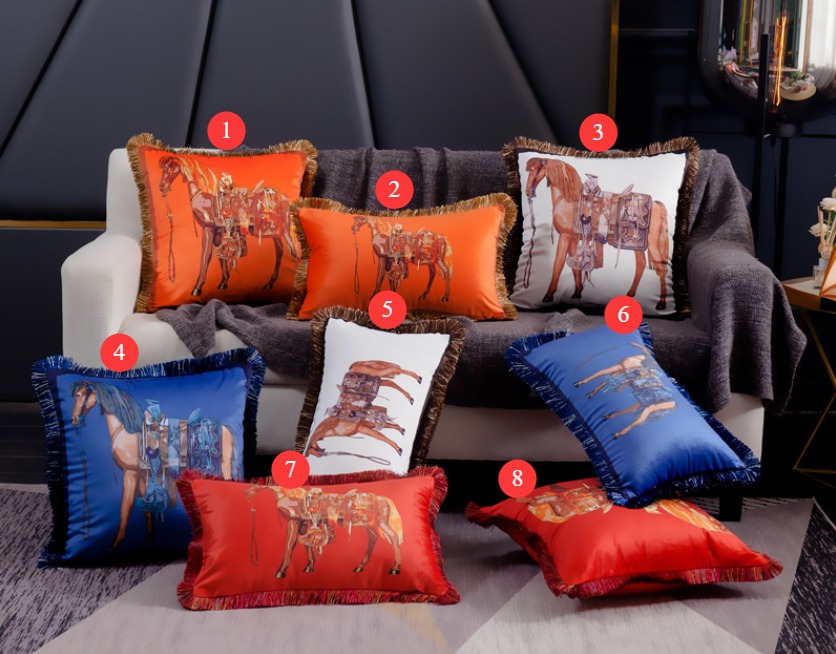 Hermes Cushion Hermes Cushion