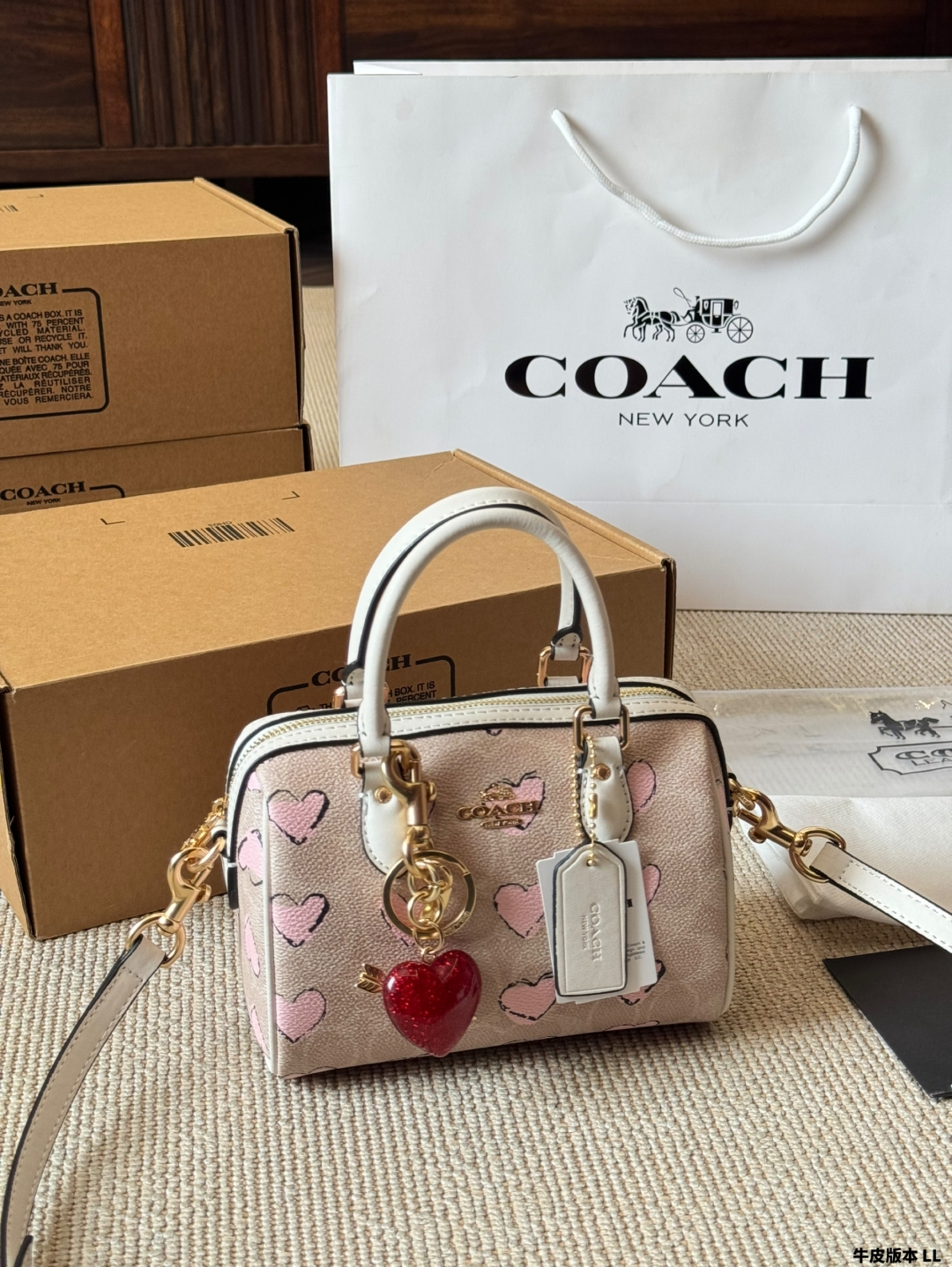 Cowhide version
Coach Rowan’s new Coach Original Pillow Bag, YKK Original Hardware with Exquisite Fabric Craftsmanship Perfect Versatile Artifact Counter Size Large 17cm